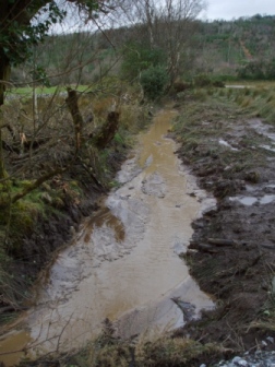 And out into the river...